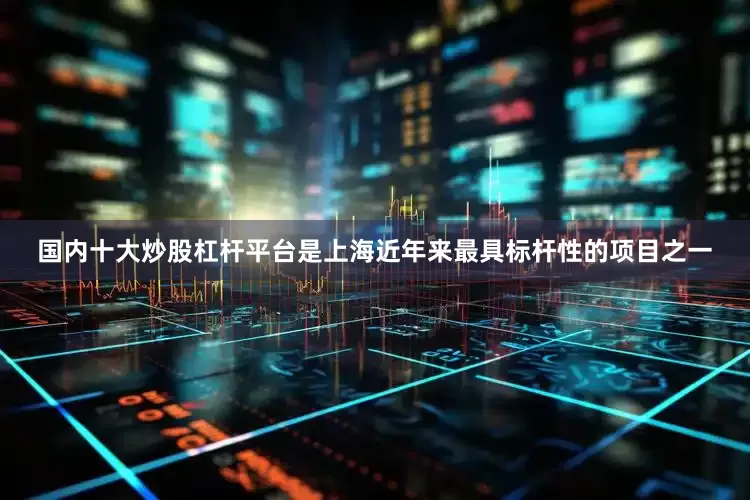 国内十大炒股杠杆平台是上海近年来最具标杆性的项目之一