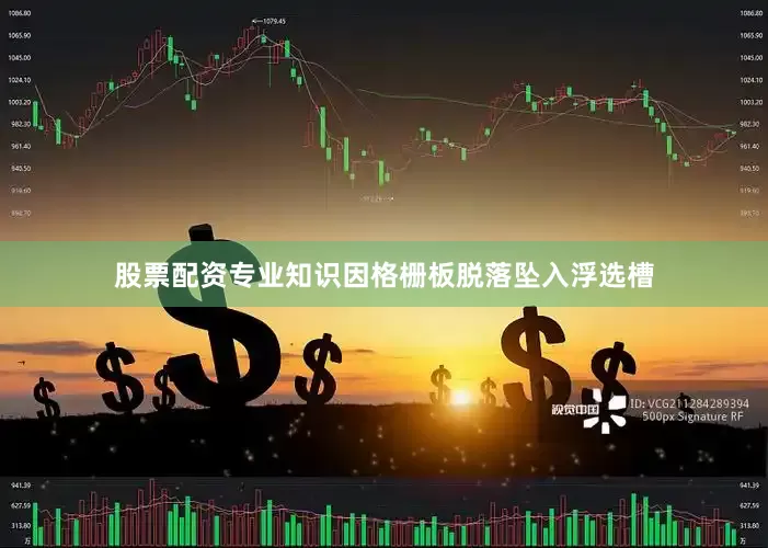 股票配资专业知识因格栅板脱落坠入浮选槽